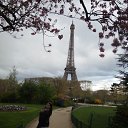 ���� ����, ��������� - ��������� 24 ������ 2016 � ������ ���� ����������