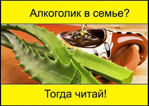 КАК Я ИЗБАВИЛА МУЖА ОТ АЛКОГОЛИЗМА БЕЗ ЕГО ВЕДОМА.Самый простой способ со 100% гарантией результата ...
