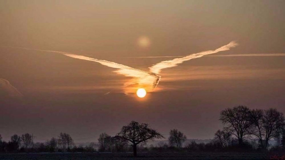   .#nature@travel.blog