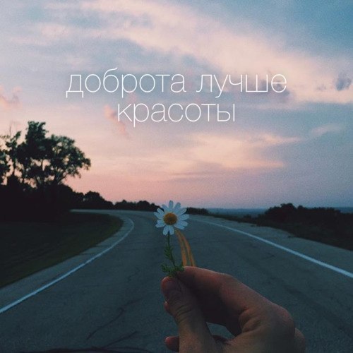    - 7  2016  14:49