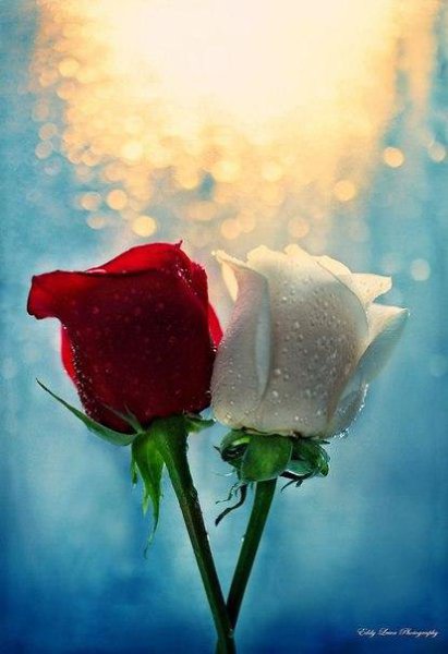 Ты просто есть... и большего не надо. Смотря в окно, я улыбаюсь снегу. Там, за окном - морозная ...