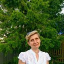 ���� ��������, ����������� - ��������� 4 ���� 2016