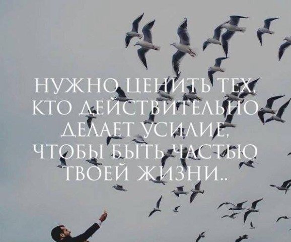 .Life.Is.Life. - 10  2016  10:53