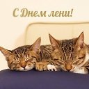 ���� H�������, ���������, 63 ���� - ��������� 8 �������� 2016 � ������ ������ ��������