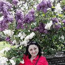 ���� ��������, ���� - ��������� 18 ���� 2016 � ������ ���� ����������