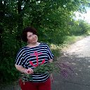 ���� 2016 ��� �� ������� ���� ����������