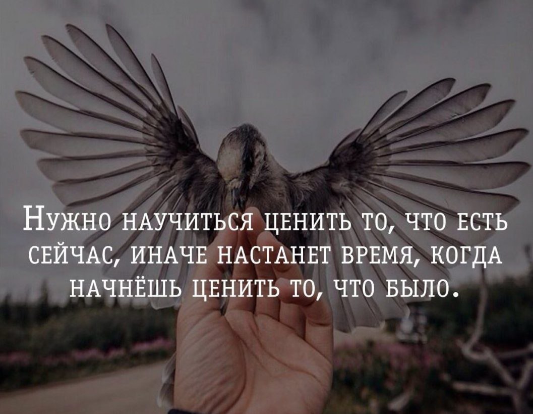 Умейте ценить людей. Цените цитаты. Цените то что есть. Цените то что есть цитаты.