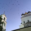  Alexandr,  -  25  2016    