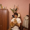 ���� �����, �����-���������, 37 ��� - ��������� 18 ������ 2016