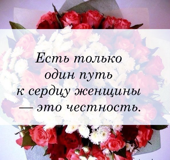   -  ,  -  - 17  2016  10:24