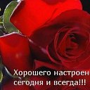 ���� ������, ����, 54 ���� - ��������� 7 ������ 2016 � ������ �������� ��������