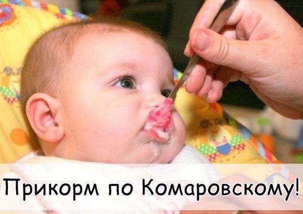Дуреет от прикорма мем ПРИКОРМ ПО КОМАРОВСКОМУ! Итак, стратегия и тактика прикорма ... Современные роди