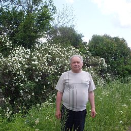 Valentin, �������, 85 ���