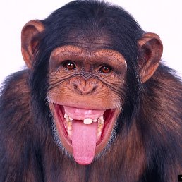 ���� ������, ������ - ��������� 29 ���� 2016