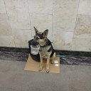 ���� ������, �����, 50 ��� - ��������� 10 ����� 2016