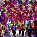  ,  -  15  2016    13 һ