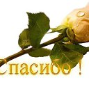 ���� �������, �����-��������� - ��������� 9 ���� 2016 � ������ ������ ��������