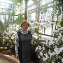 ���� ������, ������, 66 ��� - ��������� 8 ������ 2016 � ������ ���� ����������