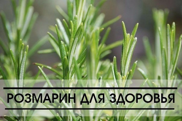 15 �������, � �������� ����������� ��������. � ��� ������� ������� ����� ���������? 1. ��������� ...