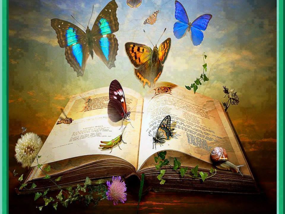 Сказка книга в моей жизни 4 класс. Волшебная книга. Сказочная книга. Мир книг. Книга с бабочками.