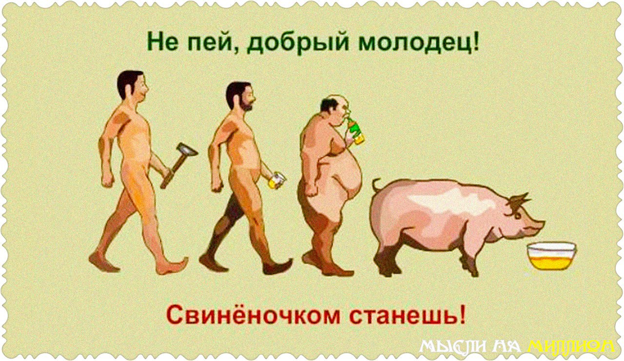 Вино сообщает каждому, кто пьет его, четыре качества. Вначале человек становится похожим на павлина ...