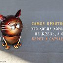 ���� �����, �����������, 64 ���� - ��������� 9 ������� 2016 � ������ ������ ��������