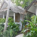    -  ,  -  6  2016    2014.  11.  lawana ( )