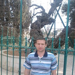 ���� ���������, ��������, 54 ���� - ��������� 22 �������� 2016