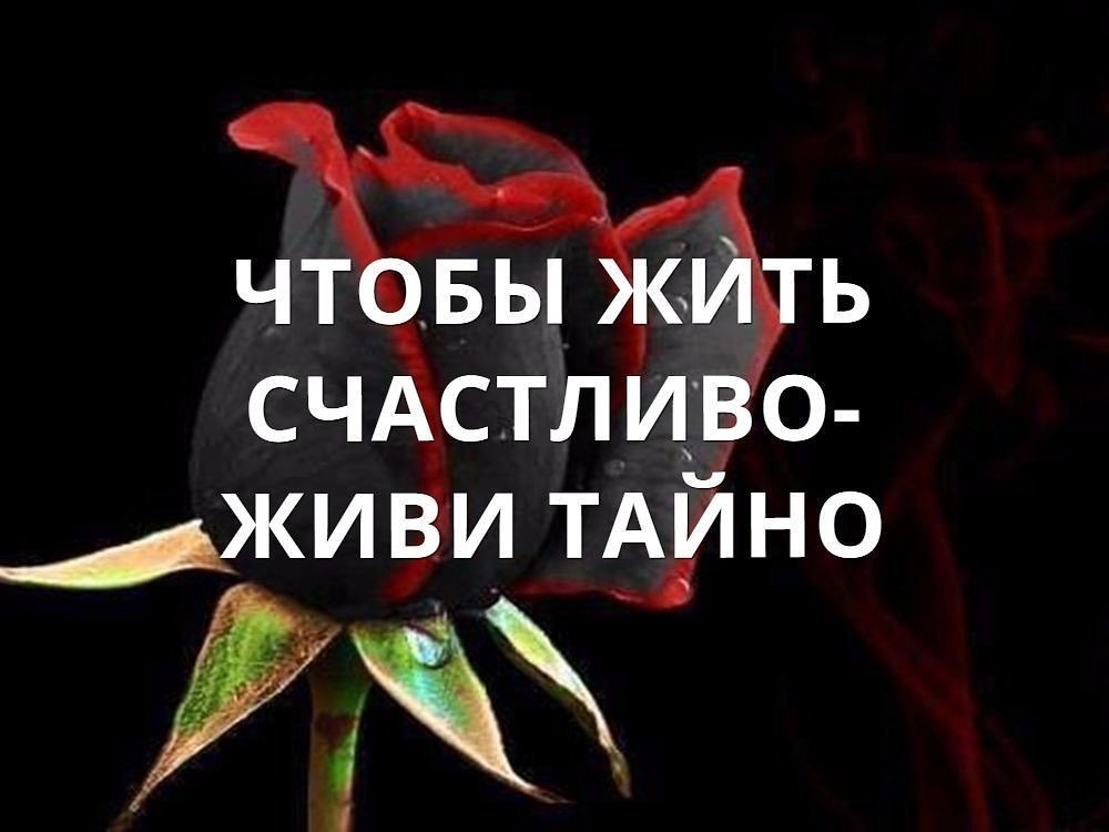 .https://fotostrana.ru/away?to=/sl/kxC2 - 24  2016  13:44
