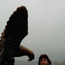 ���� ����, �������� - ��������� 2 ������ 2016