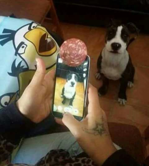  - !    .