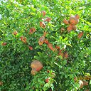 ���� Oleg, ������� ����, 78 ��� - ��������� 14 ������� 2016 � ������ ���� ����������