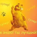���� �����, ������ - ��������� 8 ������ 2017 � ������ ���� ����������