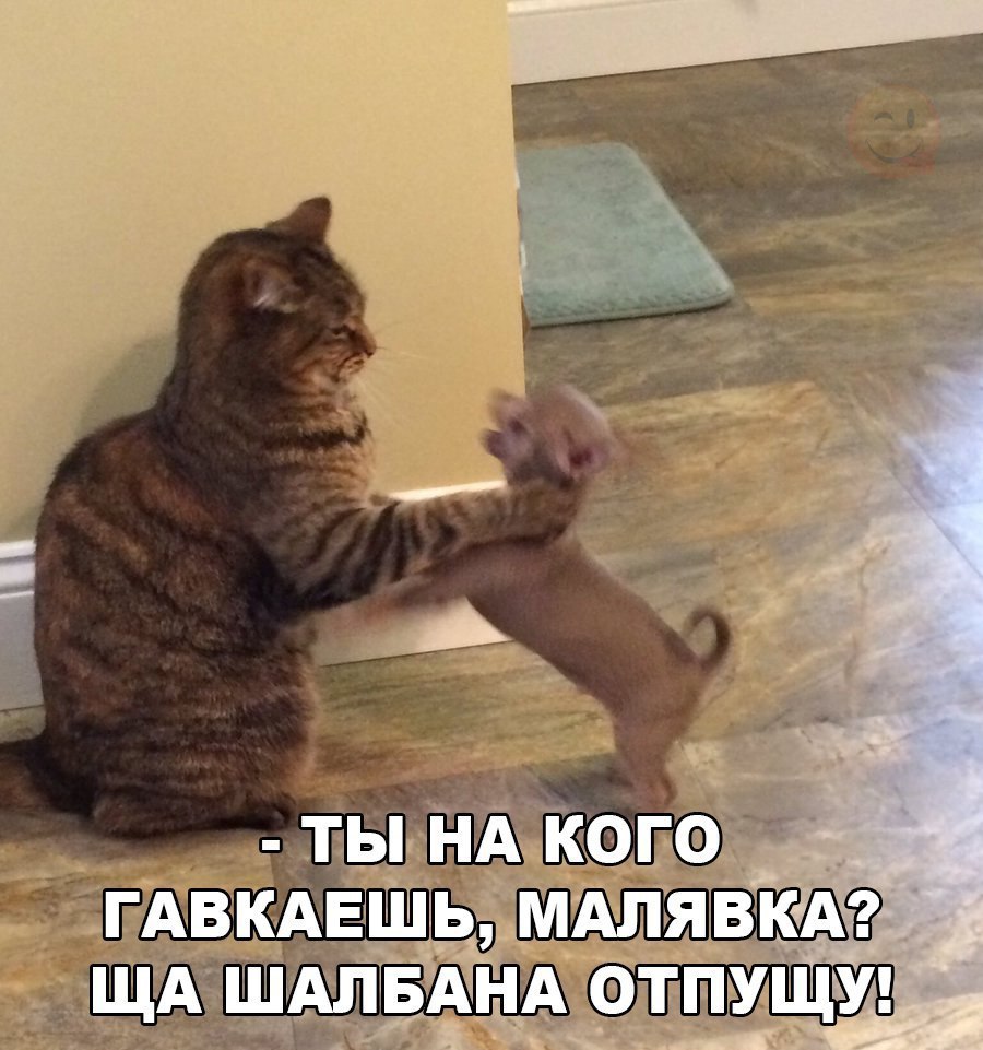    :D - 28  2017  03:35
