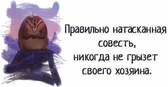  |  2016 |  |  |  - 6  2016  15:10