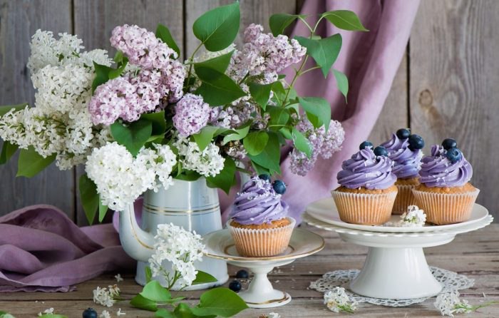 Lara - 13  2017  21:38