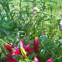 ���� �����, ������ - ��������� 25 ������� 2017 � ������ ���� ������