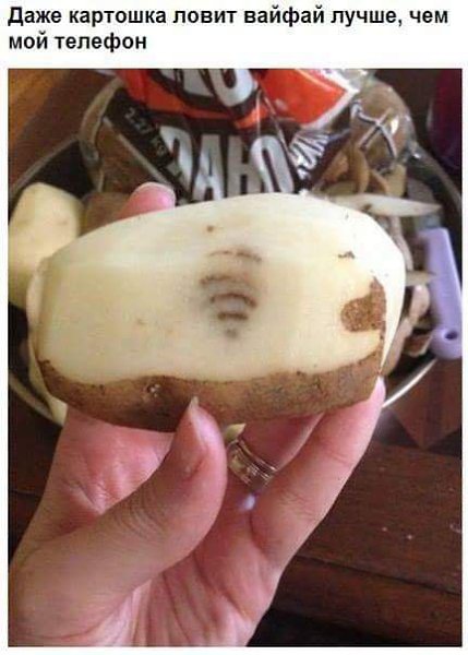 ��� ���� - 12 ������� 2016 � 23:32