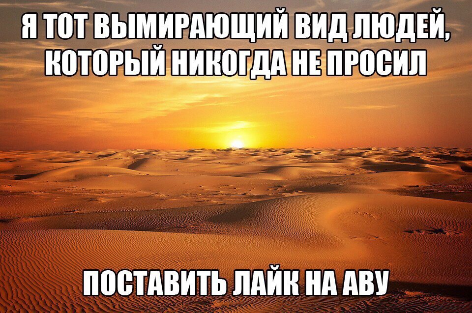 ׸  - 29  2016  14:11