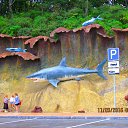 ���� Anatol, ������� - ��������� 5 ������� 2016 � ������ �����������. �. �������. �����������.�