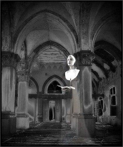  .         ,  ,   ...