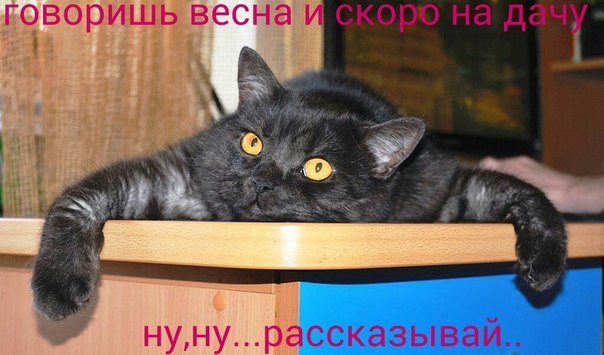       - 20  2016  20:00