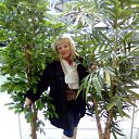 ���� ������, �������, 62 ���� - ��������� 14 ������� 2016 � ������ ���� ����������