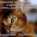 ���� Aleksandr, ������� - ��������� 8 ������ 2016 � ������ ���� ����������