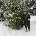  , , 73  -  28  2017    ߻