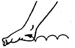 ����������, ������������� ����� � ������������� � ���� �������� �������. 1. ���������� 