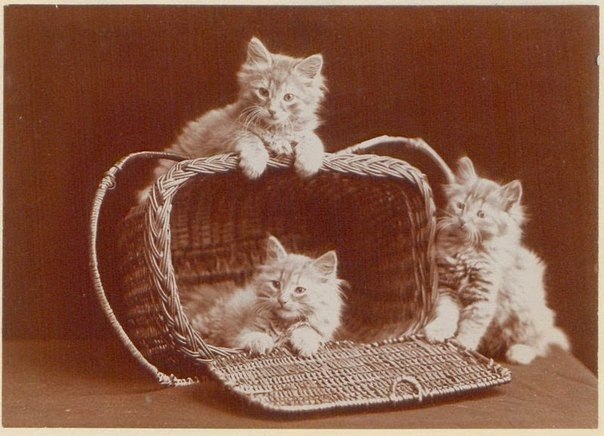   1902 .     .