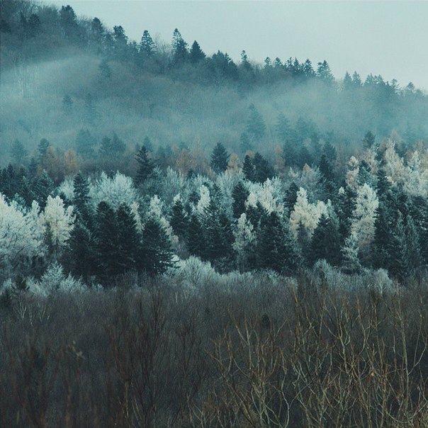 Carpathian Mountains, Ukraine - 6