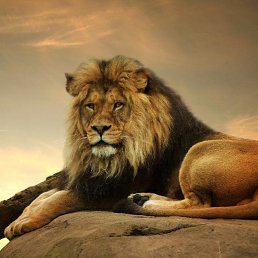 ���� ���, ������, 57 ��� - ��������� 25 ������� 2016