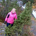 ���� ��������, ������������ - ��������� 24 ������� 2016 � ������ ���� ����������